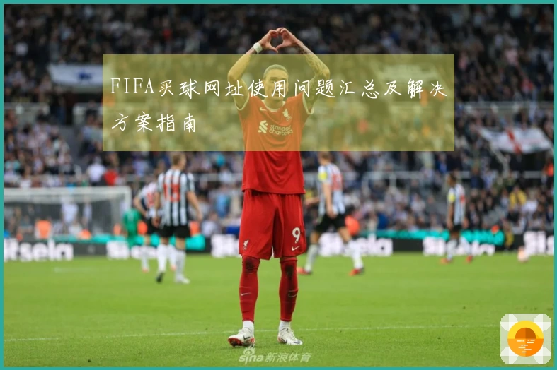FIFA买球网址使用问题汇总及解决方案指南