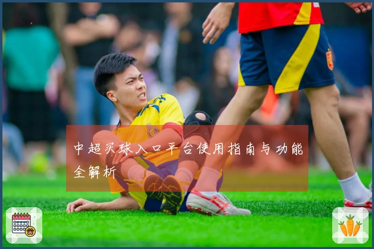 中超买球入口平台使用指南与功能全解析